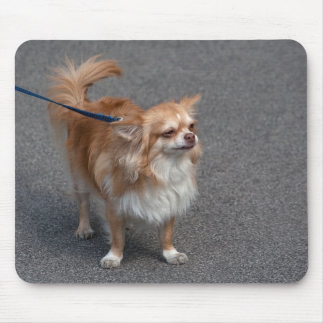 Mousepad Pequena Ruiva (Frente)