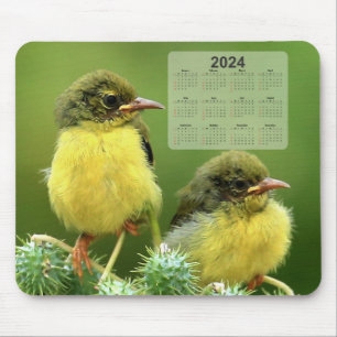 Mousepad Pequenas aves amarelas em um calendário verde de 2