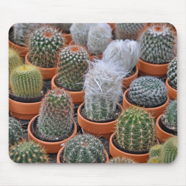 Mousepad Pequenas plantas de cacto (Frente)