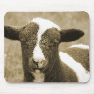 Mousepad Pequeno