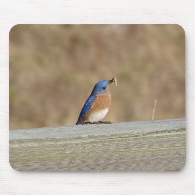 Mousepad Pequeno almoço azul do pássaro (Frente)