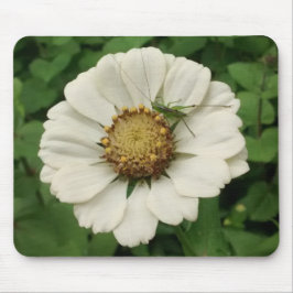 Mousepad Pequeno gafanhoto na Flor Branca