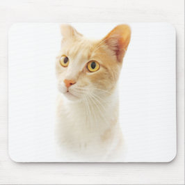 Mousepad Pequeno Gatinho Loiro Se perguntando