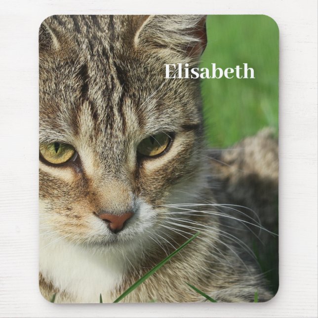 Mousepad pequeno gato em um prado verde de primavera (Frente)