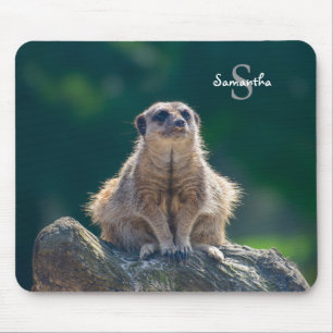 Mousepad Pequeno rato Meerkat