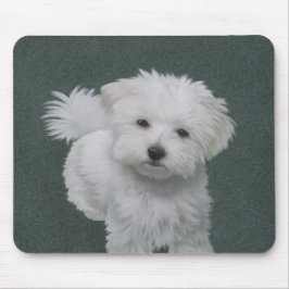 Mousepad Pequeno retrato de animal branco