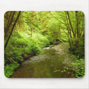 Mousepad Perdido Homem Creek I no Parque Nacional de Redwoo