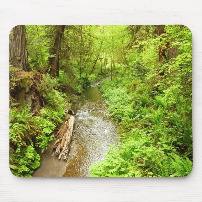 Mousepad Perdido Homem Creek II no Parque Nacional de Redwo (Frente)