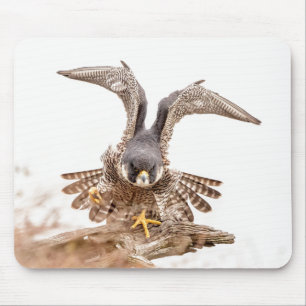 Mousepad Peregrine Falcon