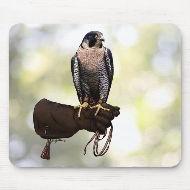 Mousepad Peregrine Falcon on Glove (Frente)