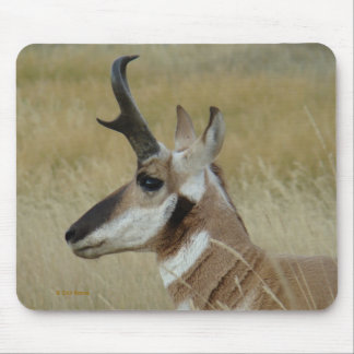 Mousepad Perfil da Cabeça de Antílope A4