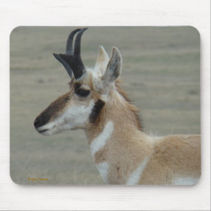 Mousepad Perfil da Cabeça de um Jovem Antílope Bidente A29