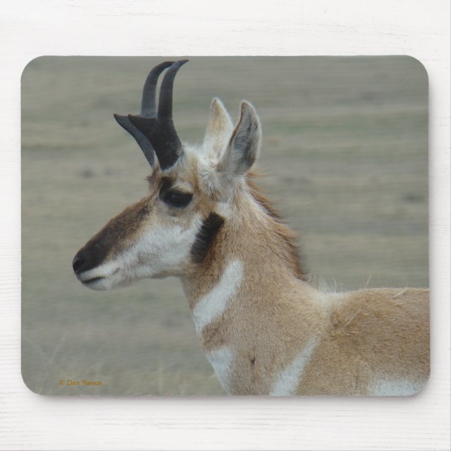 Mousepad Perfil da Cabeça de um Jovem Antílope Bidente A29 (Frente)