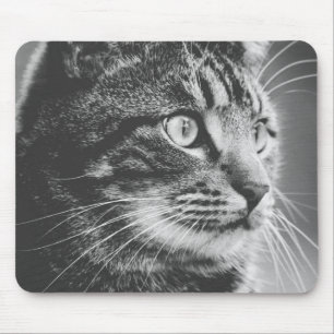 Mousepad Perfil de Tabby Olhos Grandes Preto e branco