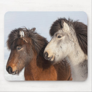 Mousepad Perfil do Cavalo Islandês, Islândia