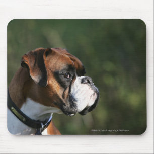 Mousepad Perfil do lado do cão do pugilista