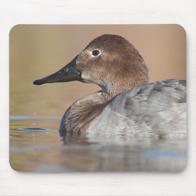 Mousepad Perfil do pato de Canvasback feminino (Frente)