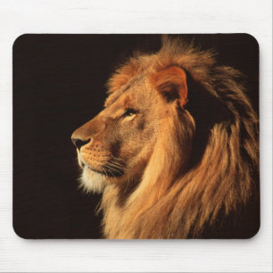 Mousepad Perfil masculino do leão - imagens dos animais