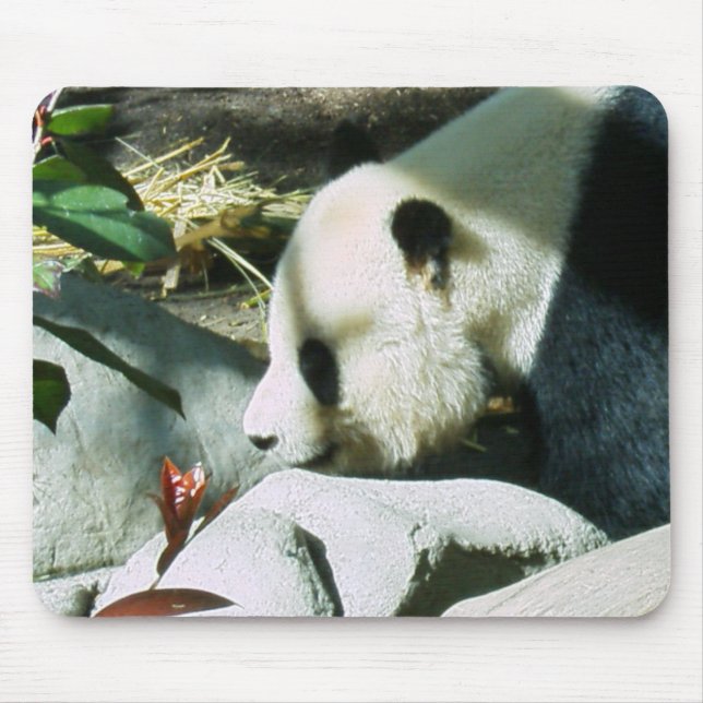 Mousepad perfil panda (Frente)
