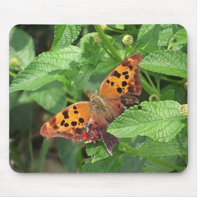 Mousepad Pergunta sobre Borboleta de Lantana (Frente)