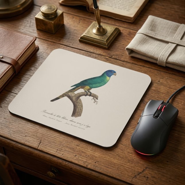 Mousepad Periquito-arco-íris jovem Trichoglossus moluccanus (Perruche a tete bleue / Rainbow lorikeet, juvenile. Mouse Pad)