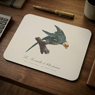 Mousepad Periquito-da-carolina, Conuropsis carolinensis