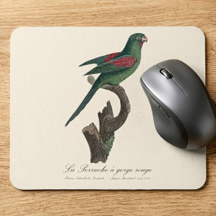 Mousepad Periquito-de-bochecha-laranja, Brotogeris jugulari
