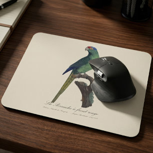 Mousepad Periquito-fronte-laranja, Eupsittula Canicularis