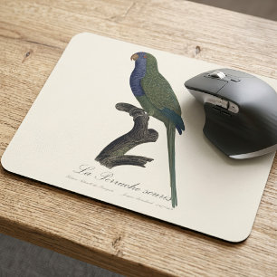 Mousepad Periquito-verde ou Caturrita, Myiopsitta Monachus