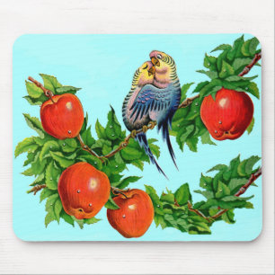 Mousepad periquitos apaixonados