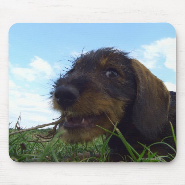 Mousepad Pernicioso (Frente)