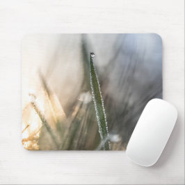 Mousepad Pérolas de Praga na Grama