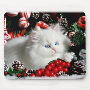 Mousepad Persa branco adorável no ajuste do Natal