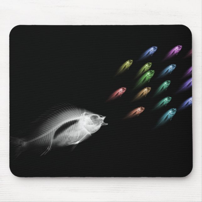 MOUSEPAD PERSEGUIÇÃO DOS PEIXES DO RAIO X - ARCO-ÍRIS (Frente)