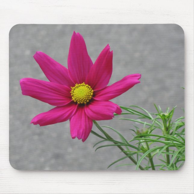 Mousepad personalizado do Flor Rosa (Frente)