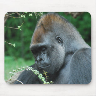 Mousepad Personalize o produto