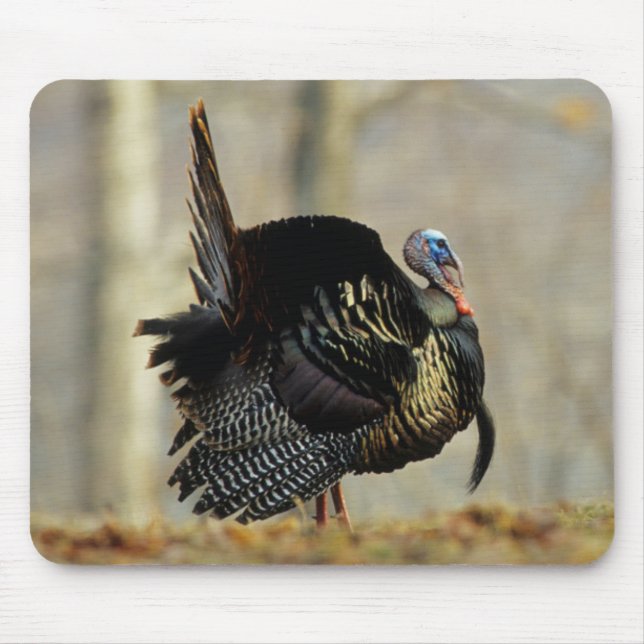 Mousepad Peru masculino pavoneando-se, Illinois (Frente)
