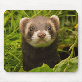 Mousepad Pet Ferret na grama