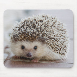 Mousepad Pet Hedgehog
