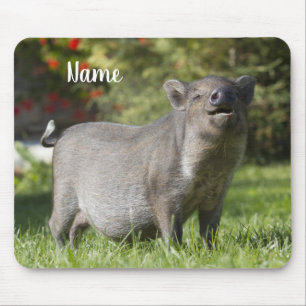 Mousepad Pet Mini Pote Bely Pig