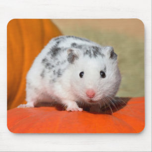 Mousepad Pet Negro Branco De Hamster Sírio Bonito Sentado 