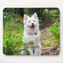 Pet Photo E Name Personalizados
