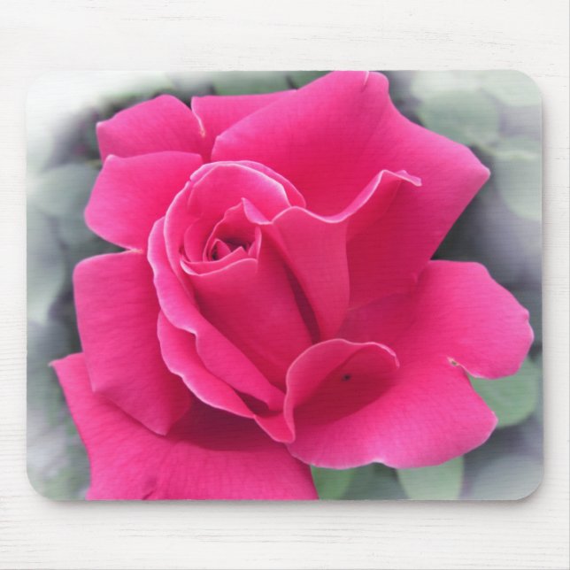 Mousepad Pétalas Rosa Rosa Rosa Rosa Rosa Rosa Rosa Rosa Ro (Frente)