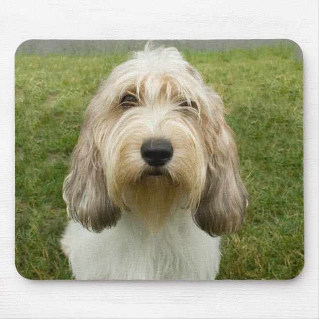 Mousepad Petit Basette Griffon Vendeen (Frente)