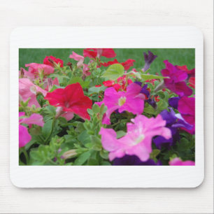 Mousepad Petunias