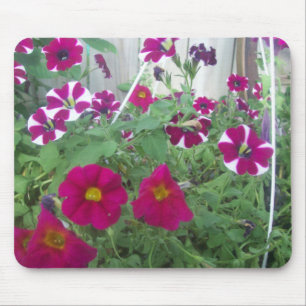 Mousepad Petúnias cor-de-rosa
