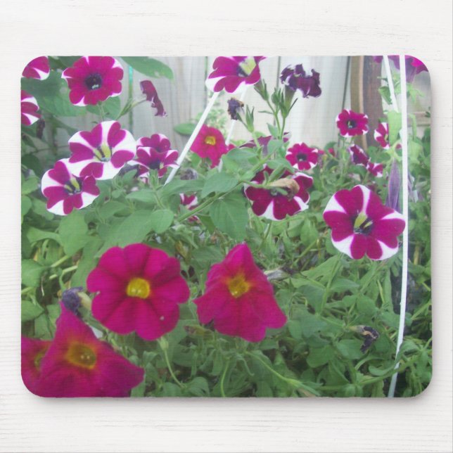 Mousepad Petunias Rosa (Frente)