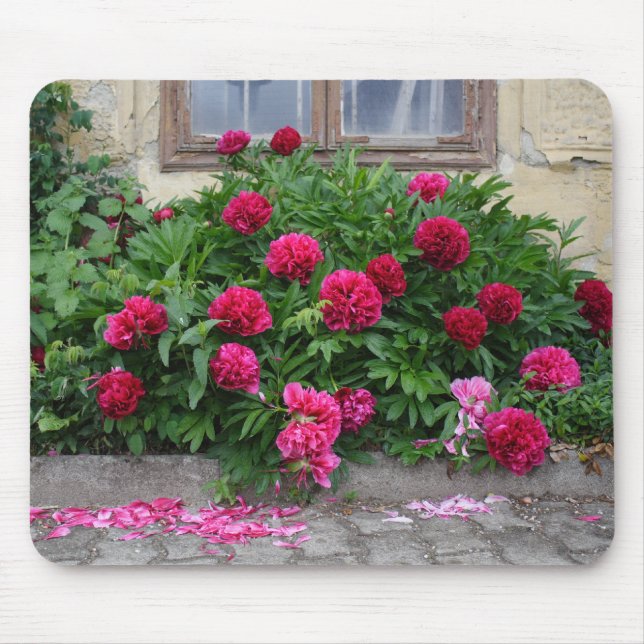 Mousepad Pfingstrosen (Frente)