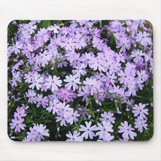 Mousepad Phlox roxo bonito (Frente)