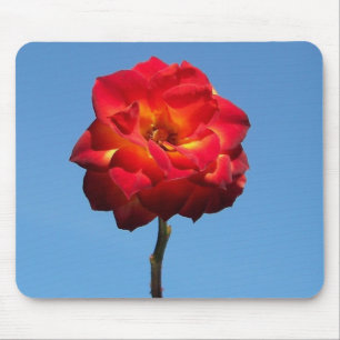 Mousepad Phoenix aumentou no Céu-mousepad